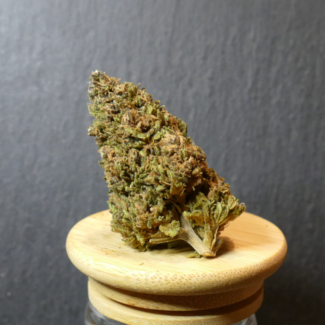 Fleurs de CBD Abacus 2.0