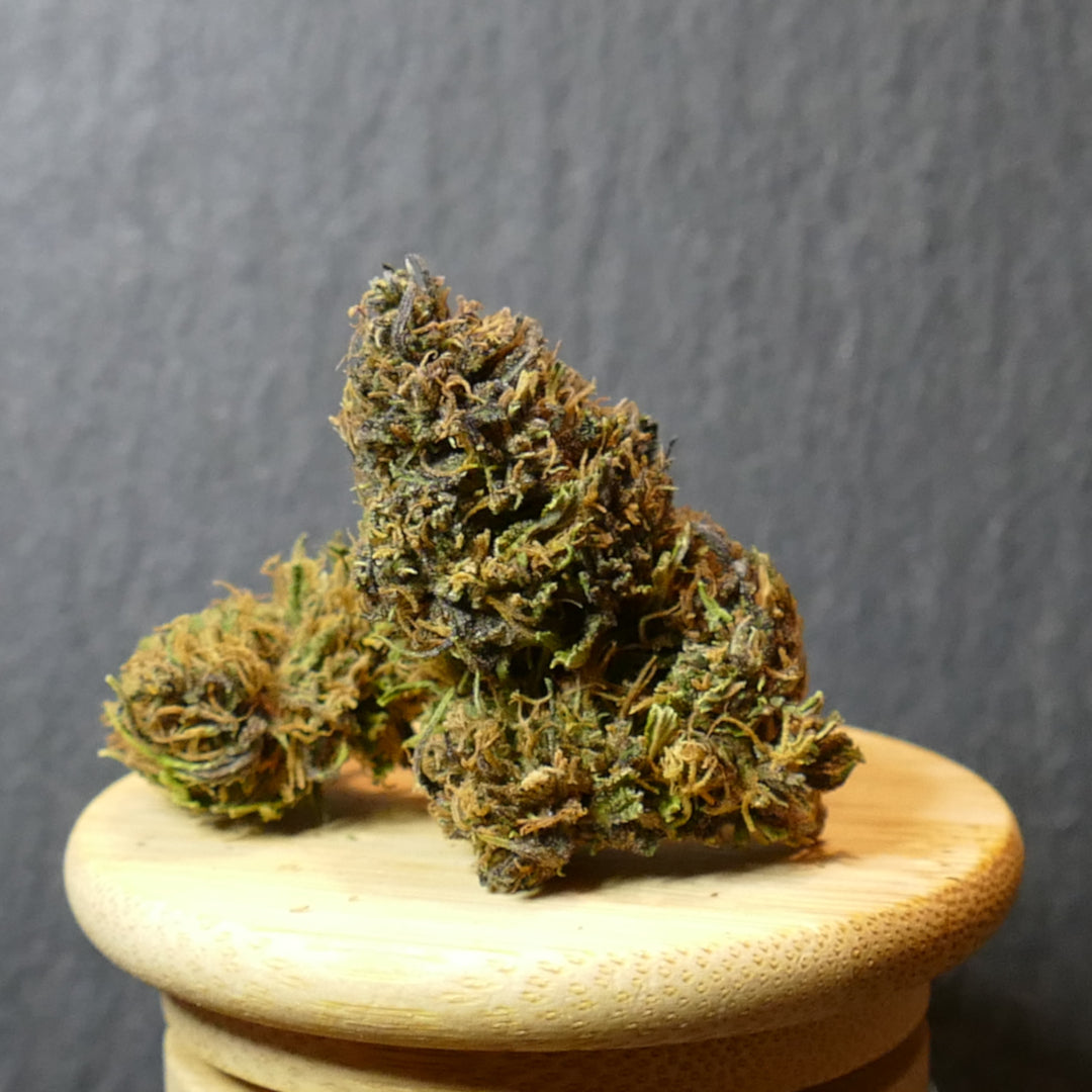 Fleurs de CBD Orange Buddha
