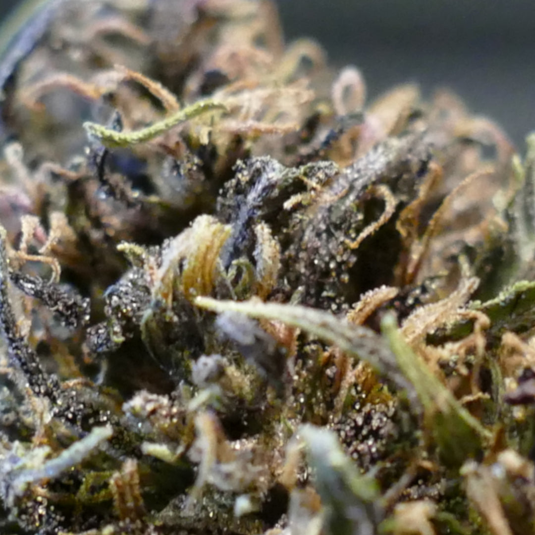 Fleurs de CBD Orange Buddha