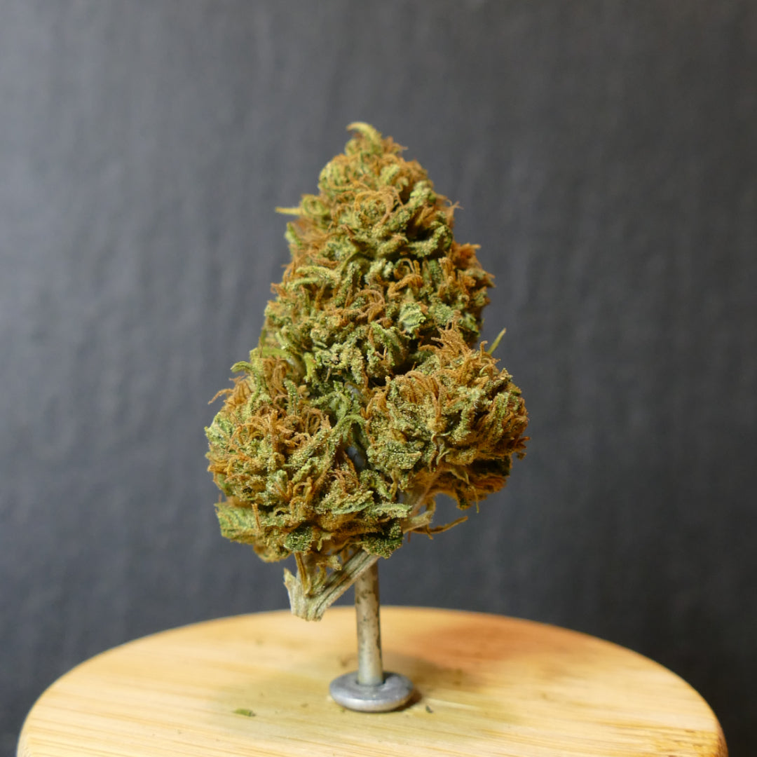 Fleurs de CBD Peach Buddha