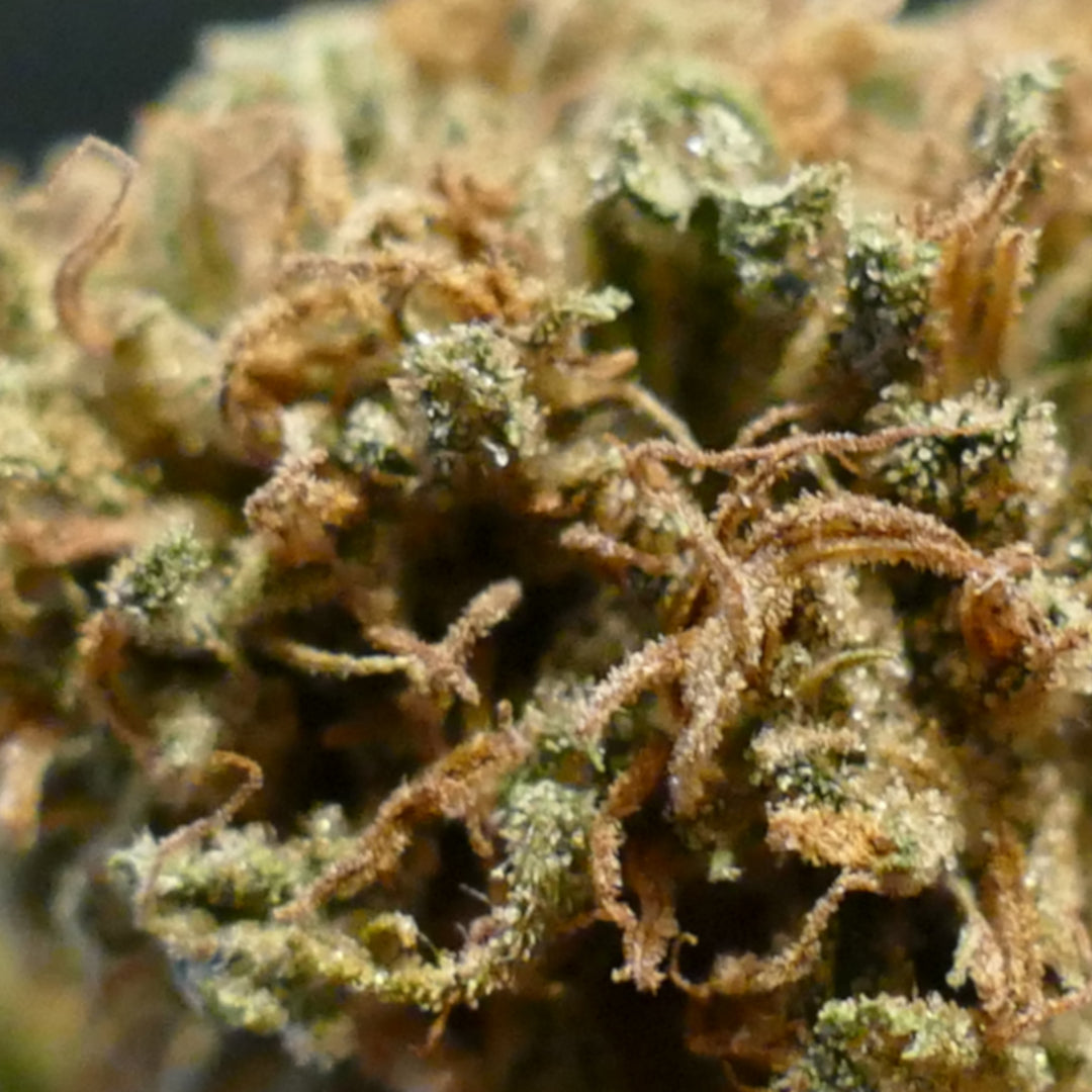 Fleurs de CBD Peach Buddha