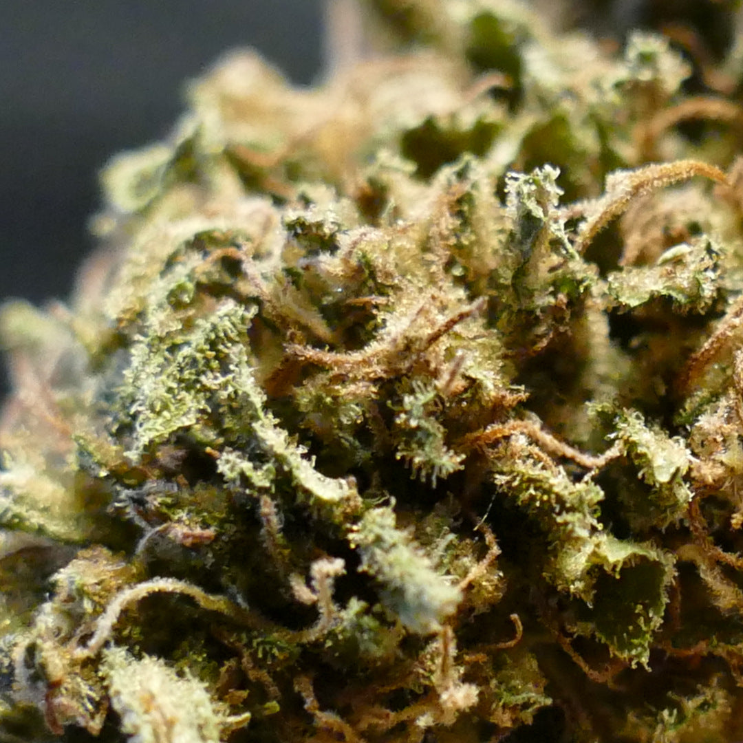 Fleurs de CBD Super Sour Space Candy