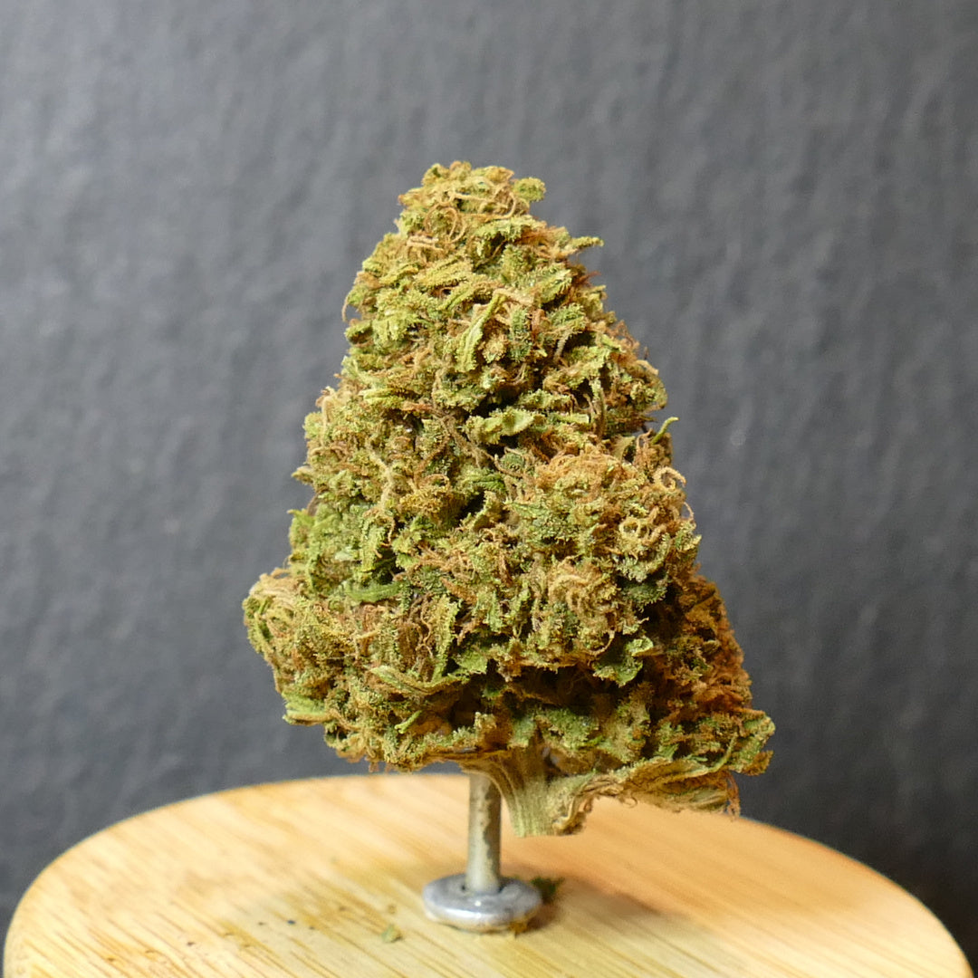 Fleurs de CBD Super Sour Space Candy