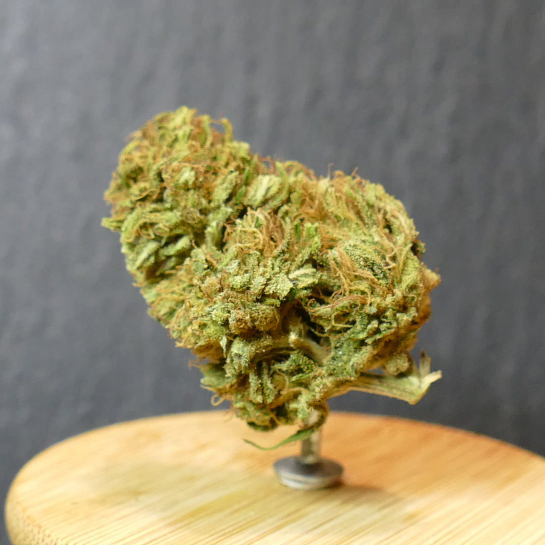 Fleurs CBD Sour Hawaïn Hase
