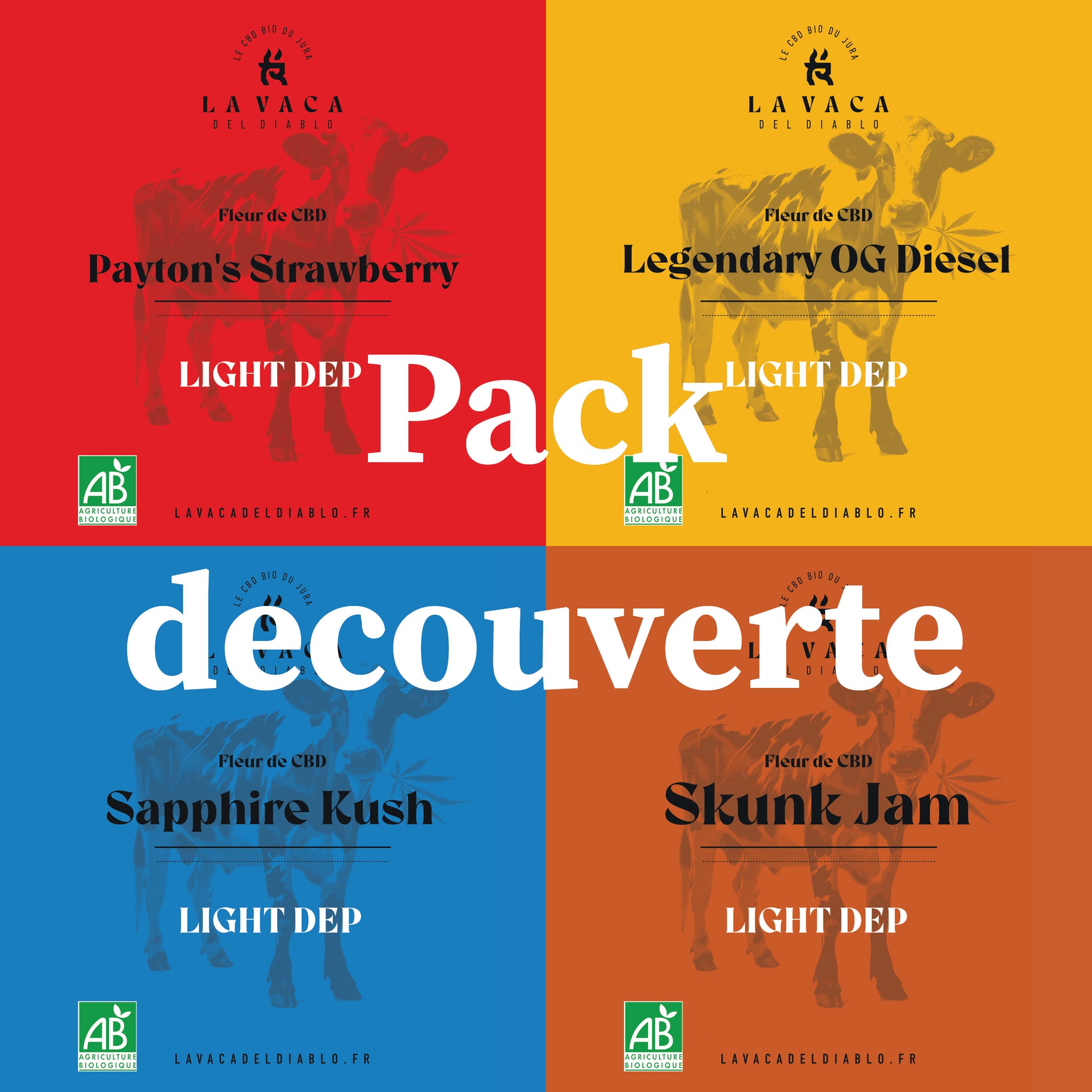 Pack découverte