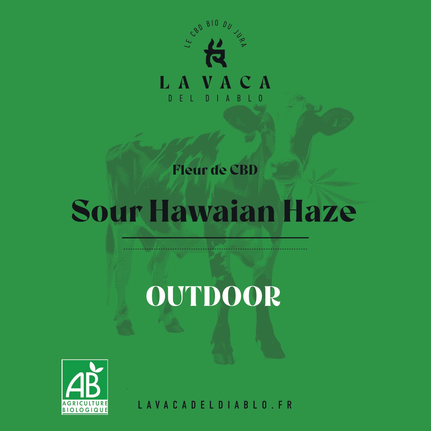 Sour Hawaïn Hase OUTDOOR