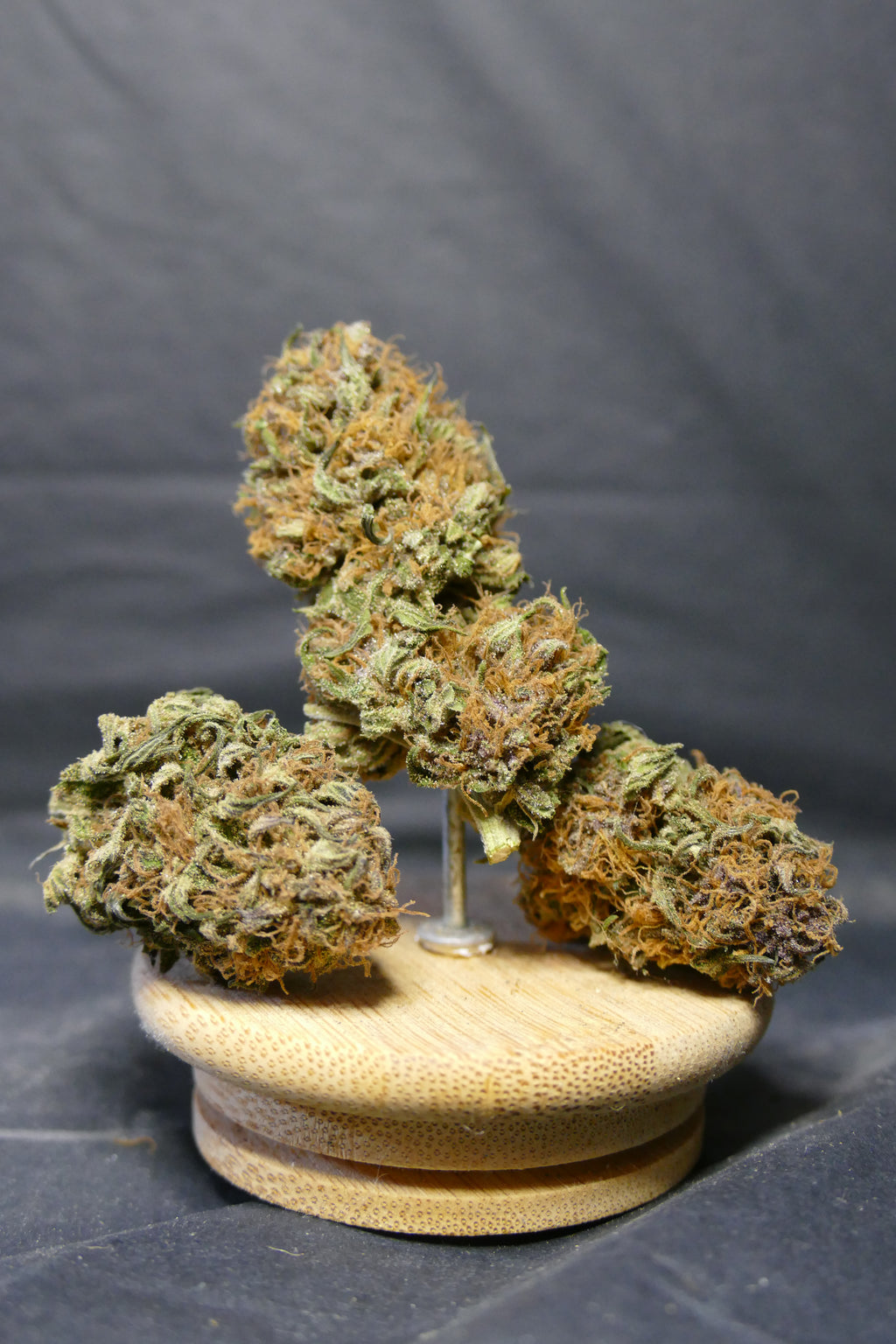 Sweet Tarte GREENHOUSE