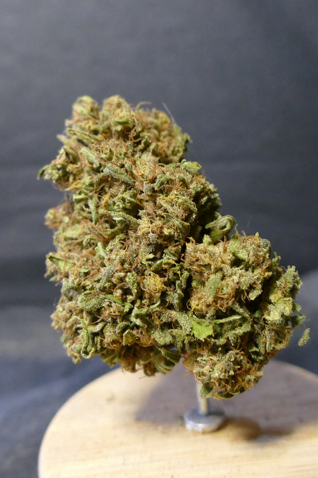 Sapphire Kush LIGHT DEP