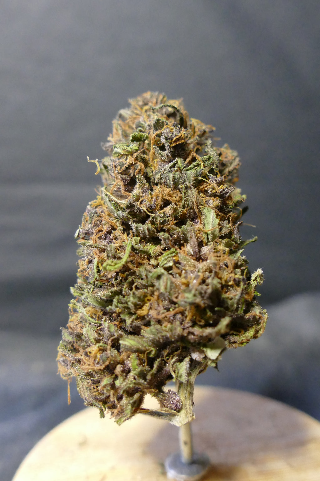 Legendary Platinum O.G. Diesel Edition LIGHT DEP