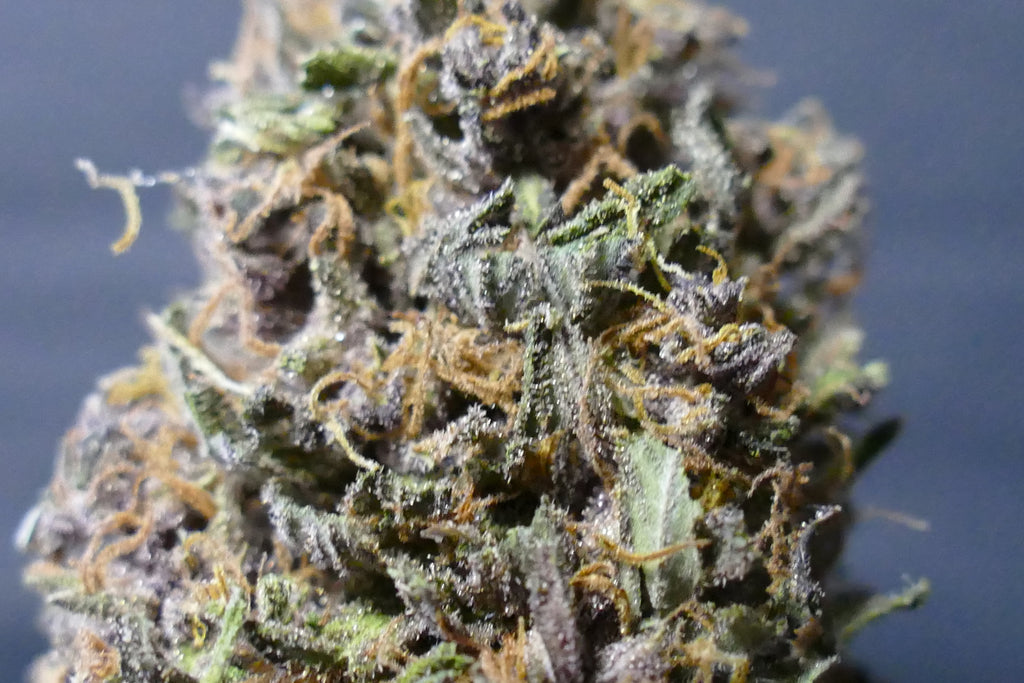 Legendary Platinum O.G. Diesel Edition LIGHT DEP