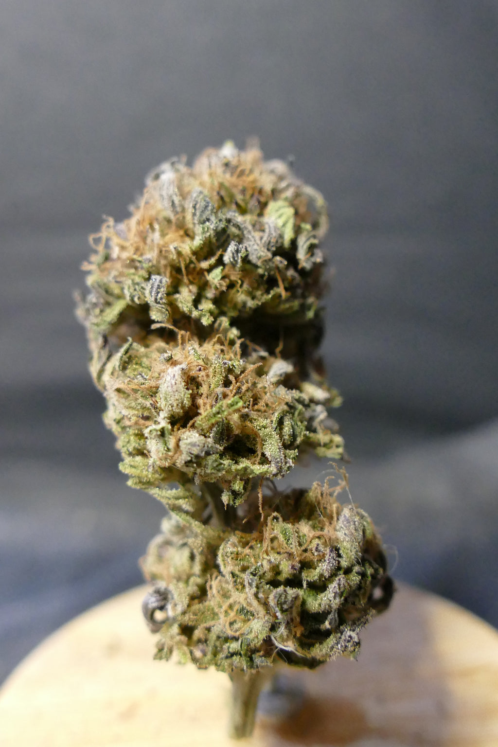 Chèvre Galette GREENHOUSE