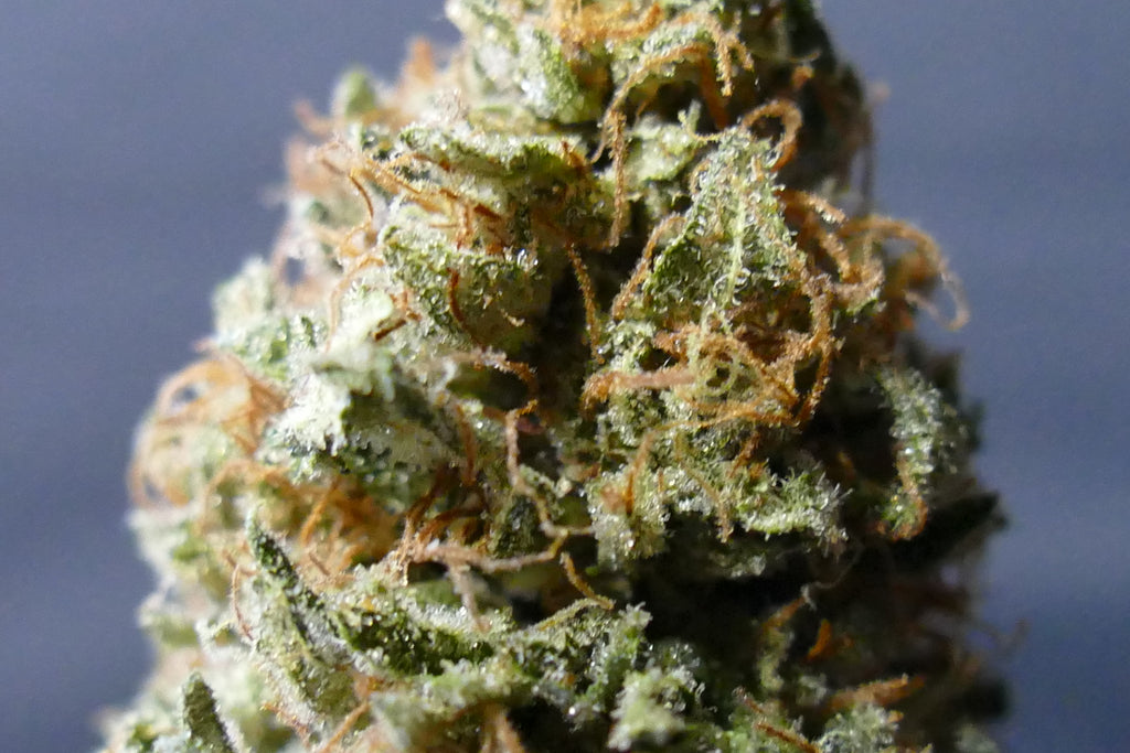 Payton's Strawberry LIGHT DEP