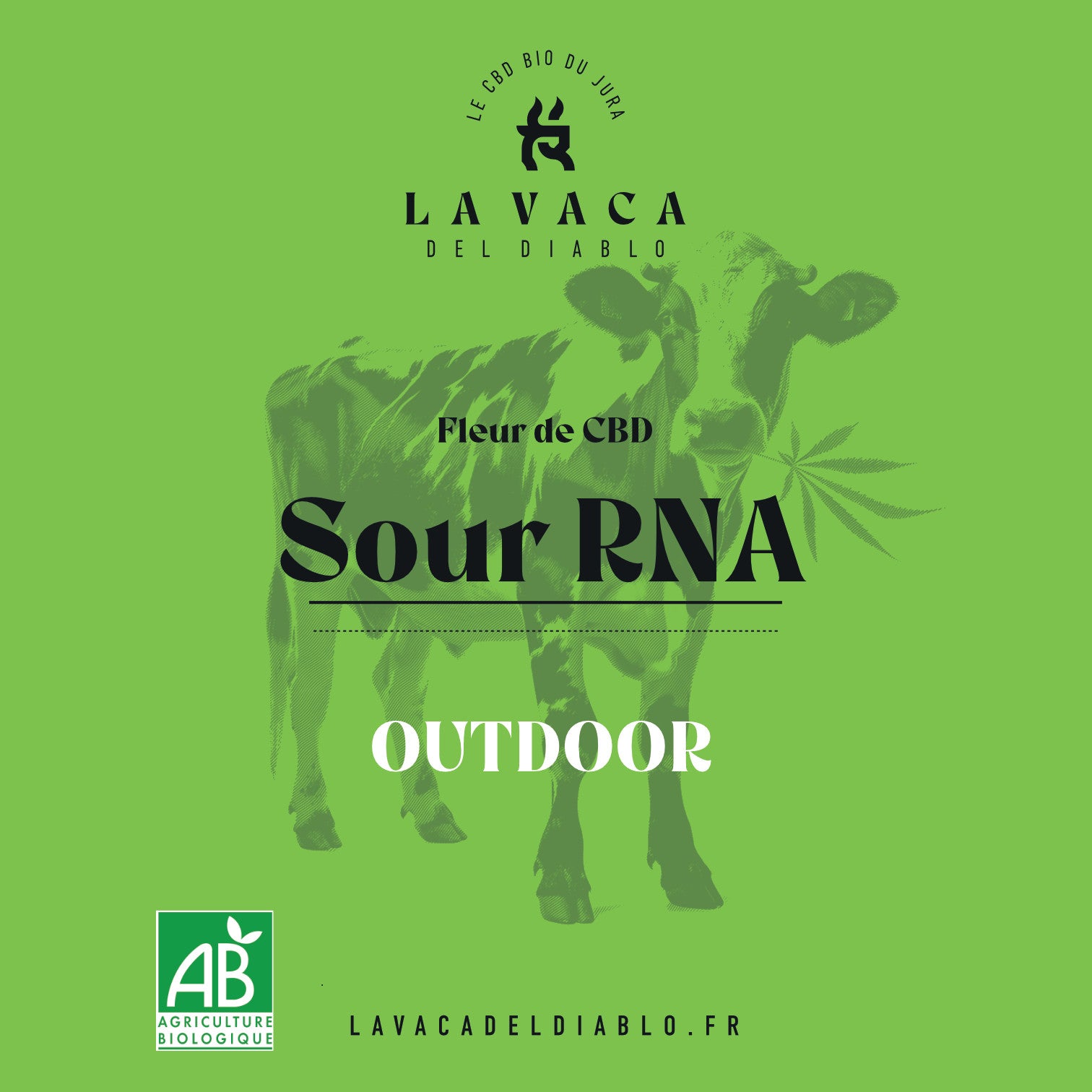 Sour RNA OUTDOOR