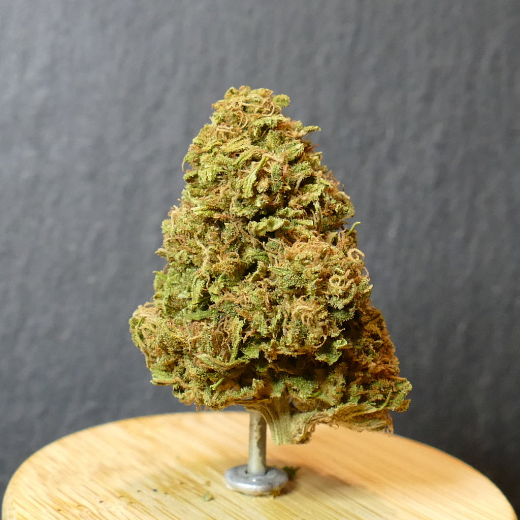 Fleurs de CBD Super Sour Space Candy