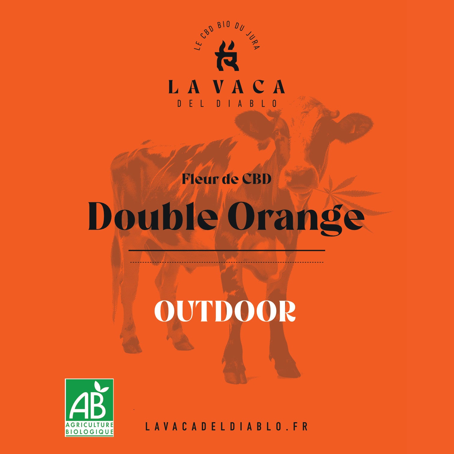 Double Orange OUTDOOR