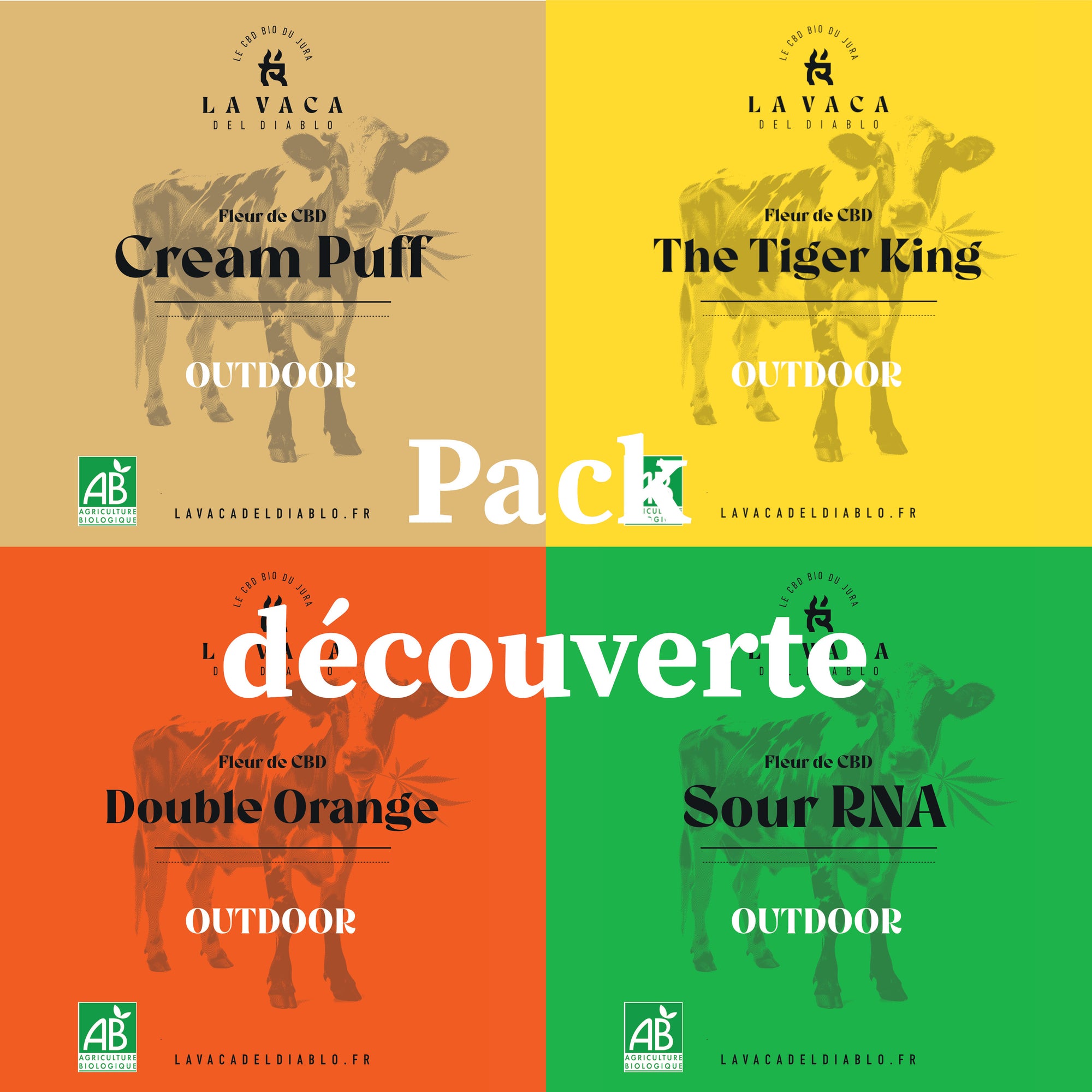 Pack découverte OUTDOOR
