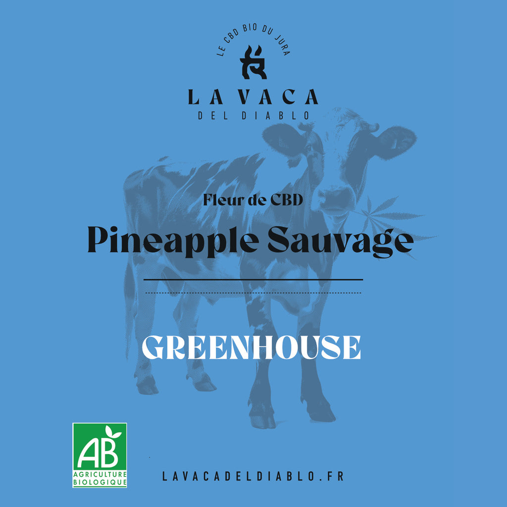 Pineapple Sauvage GREENHOUSE