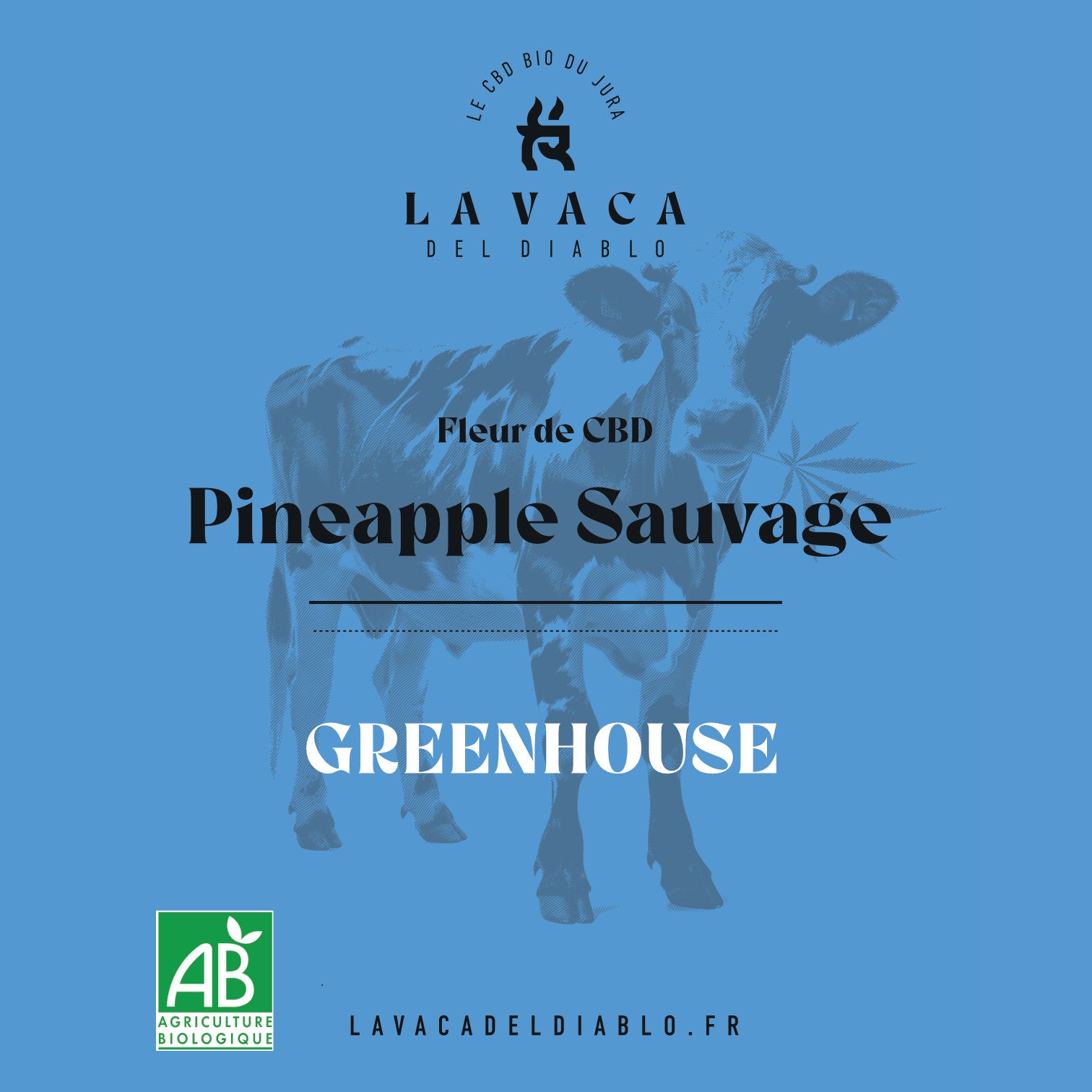 Pineapple Sauvage GREENHOUSE