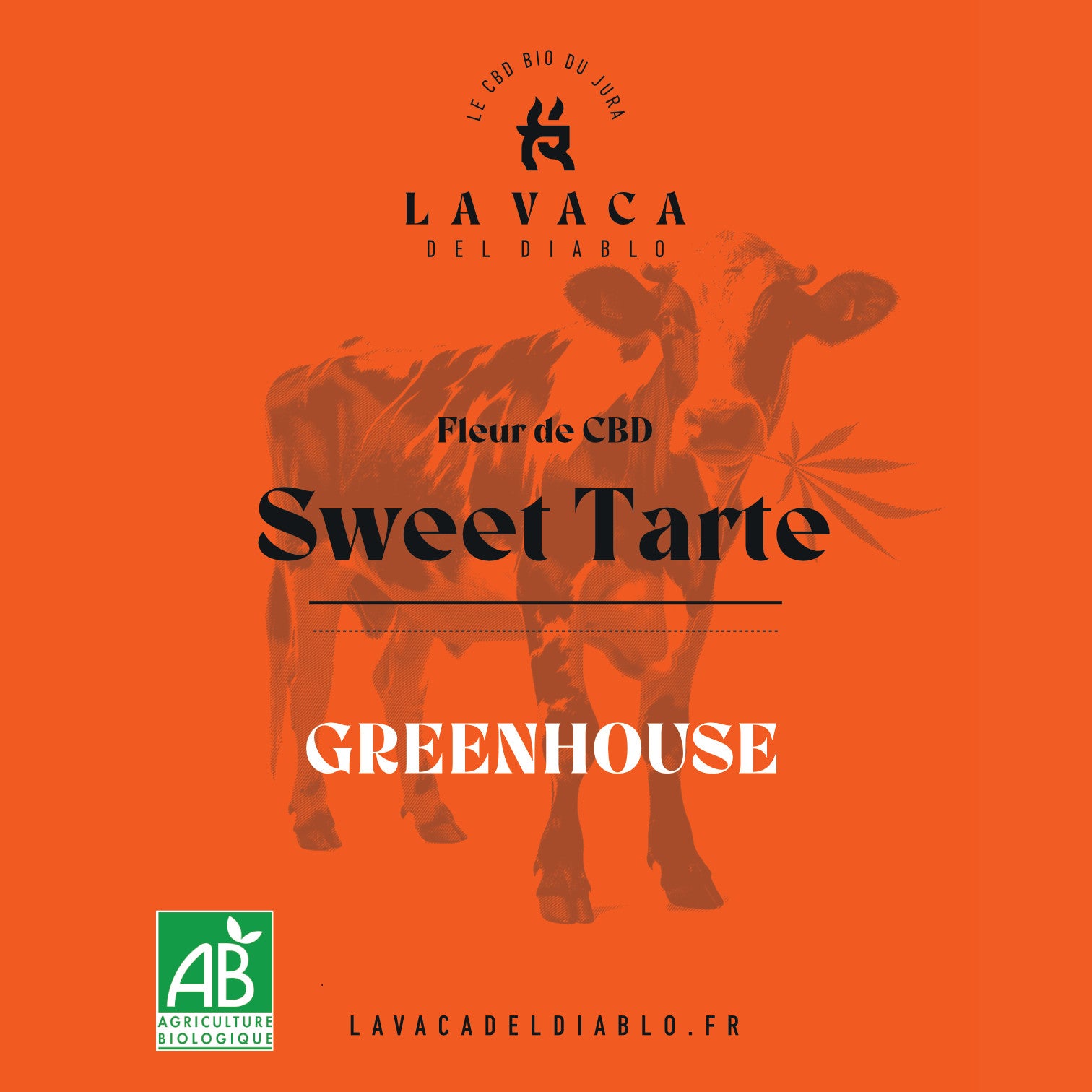 Sweet Tarte GREENHOUSE